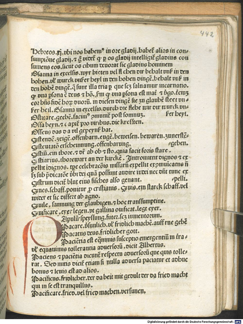 Image