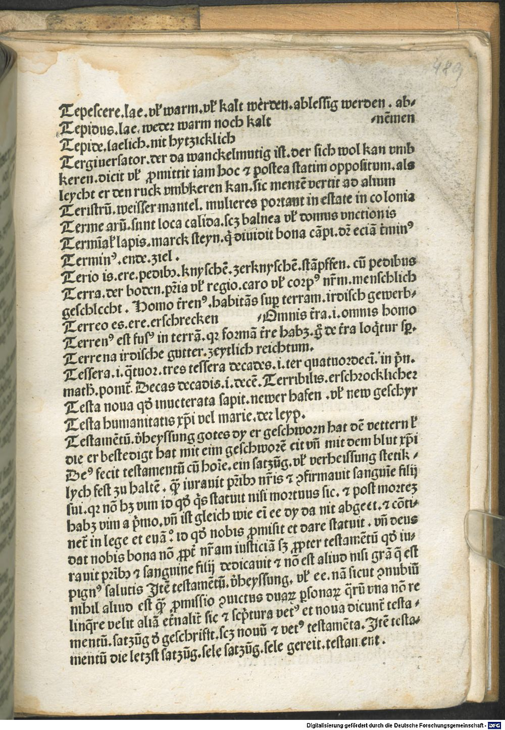 Image