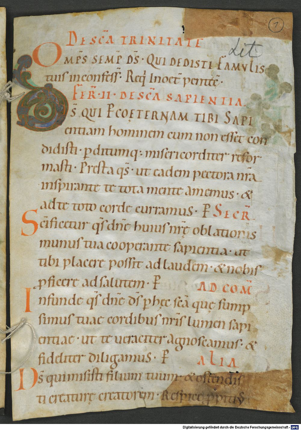Image