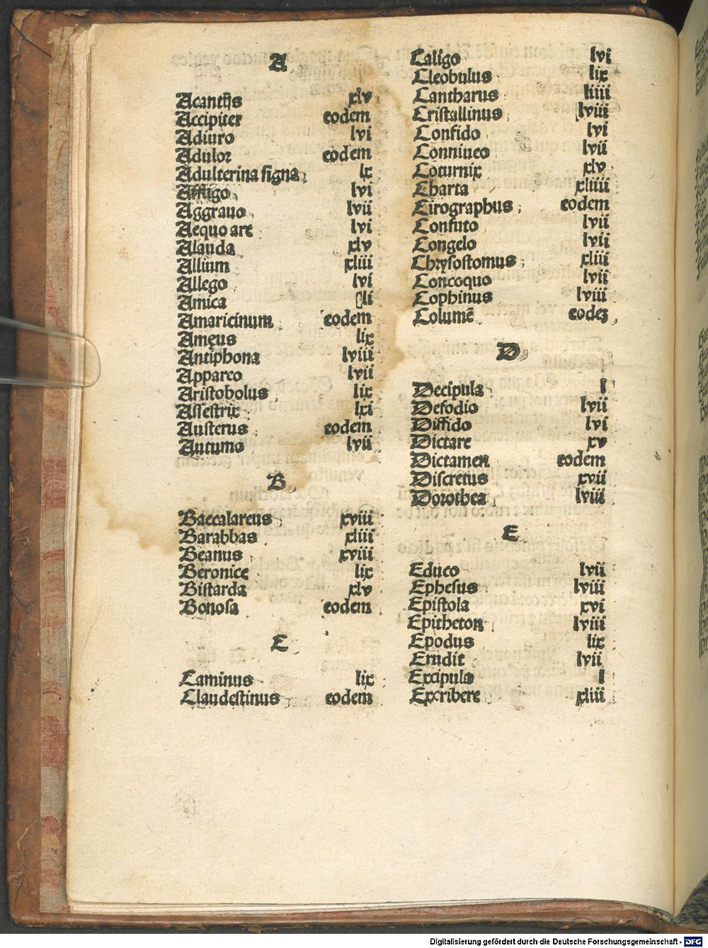 Image