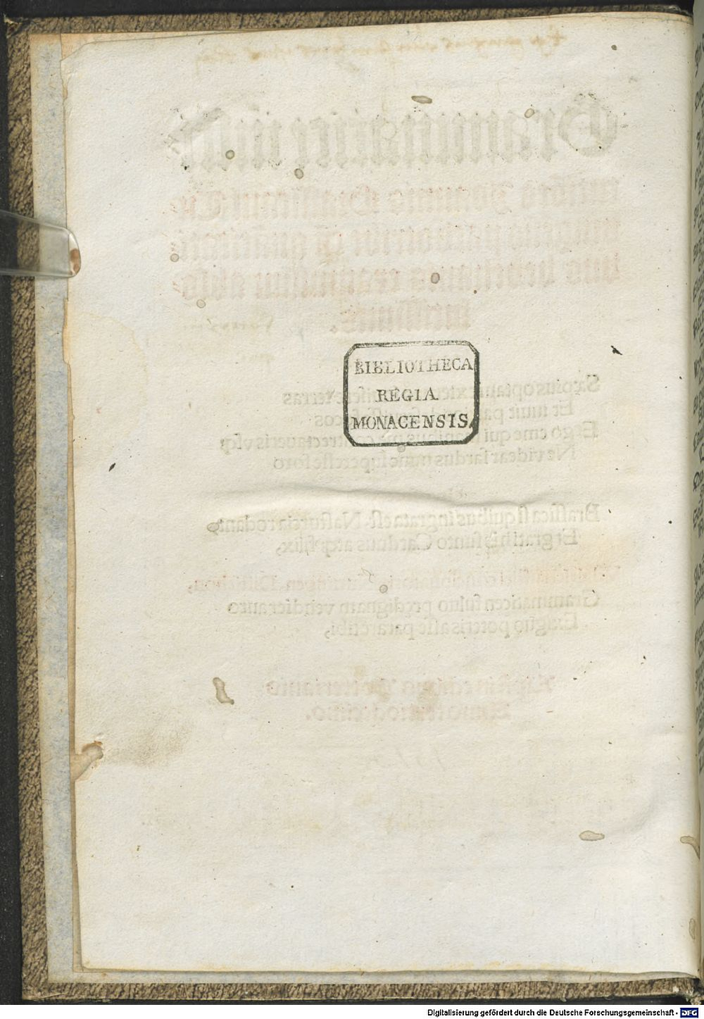 Image