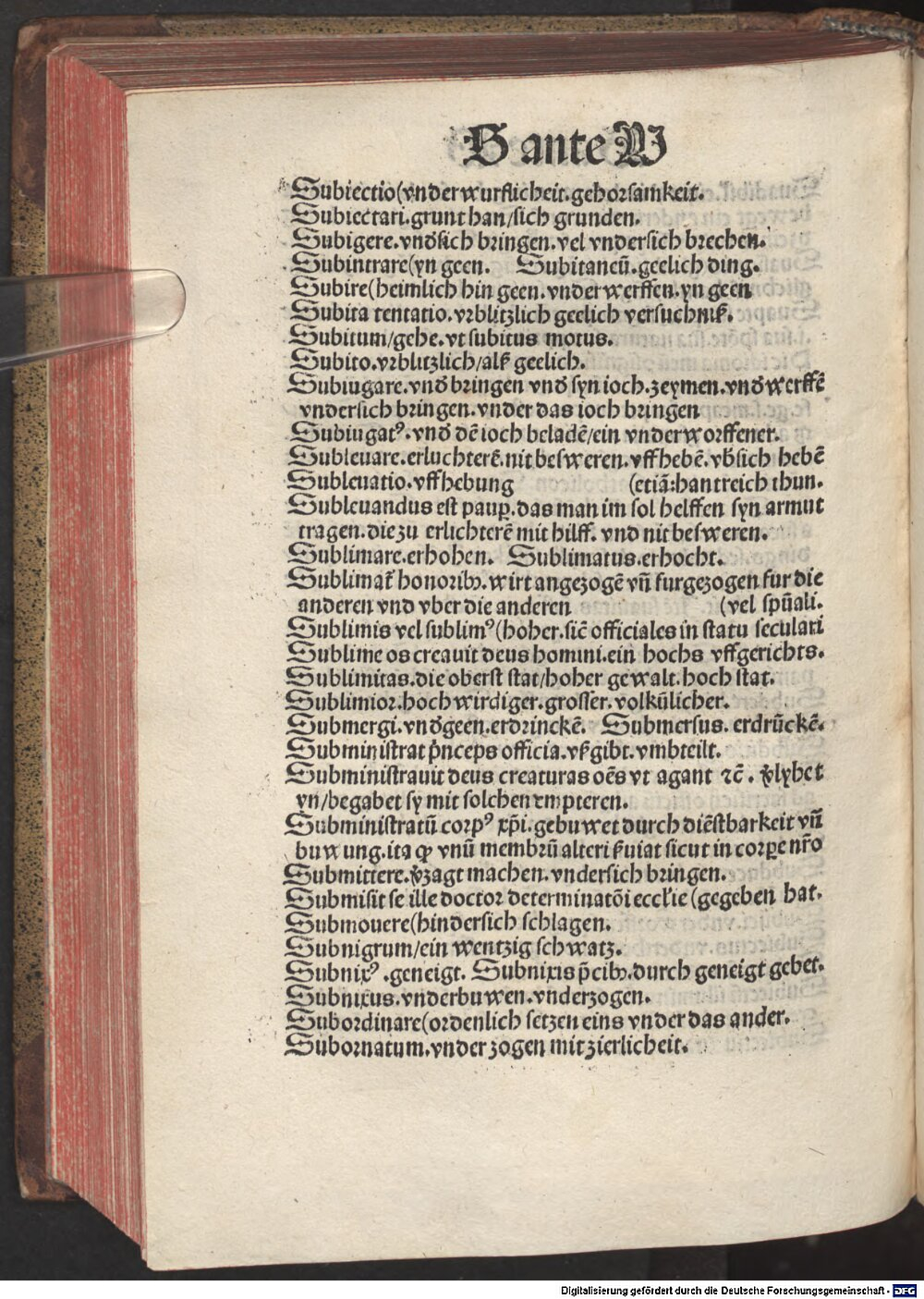 Image