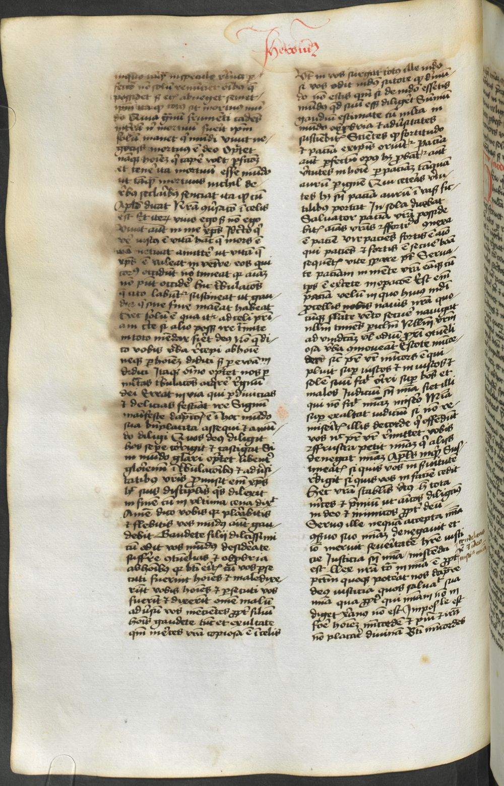 Image