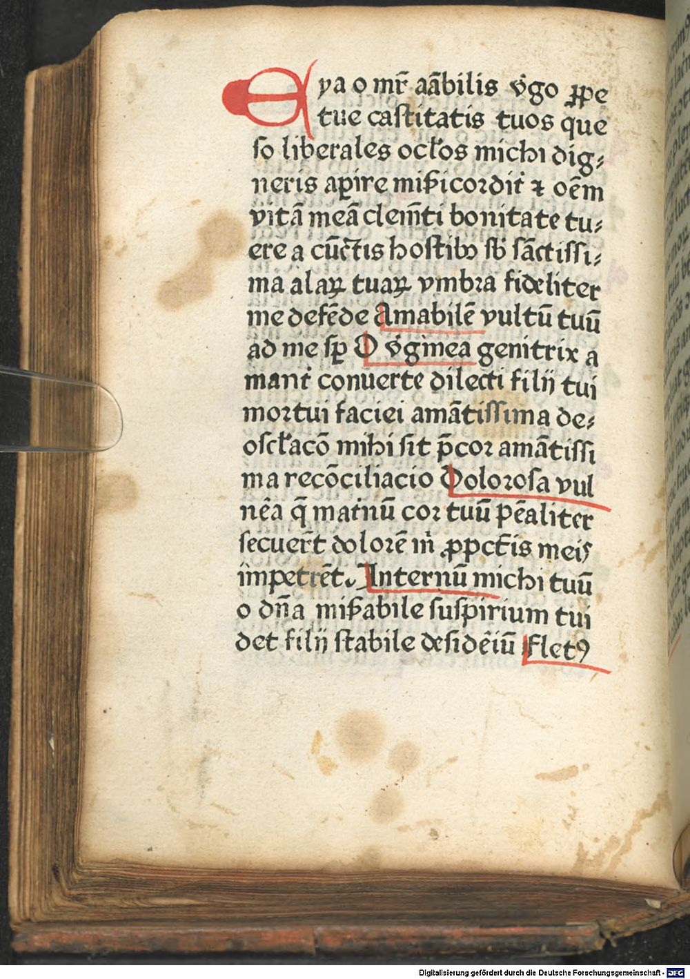 Image