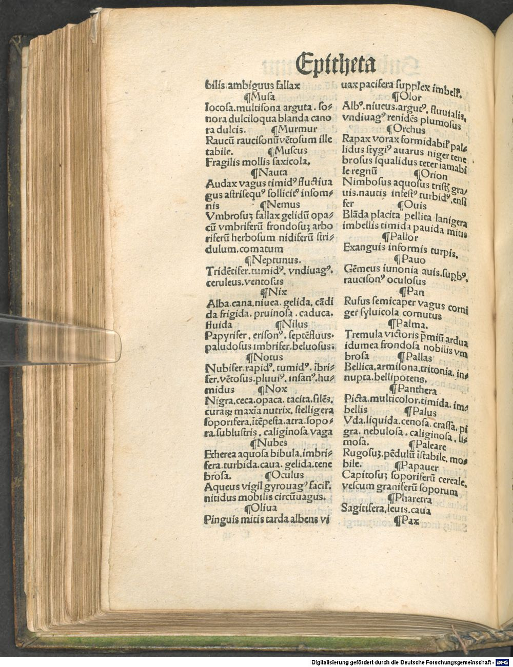 Image