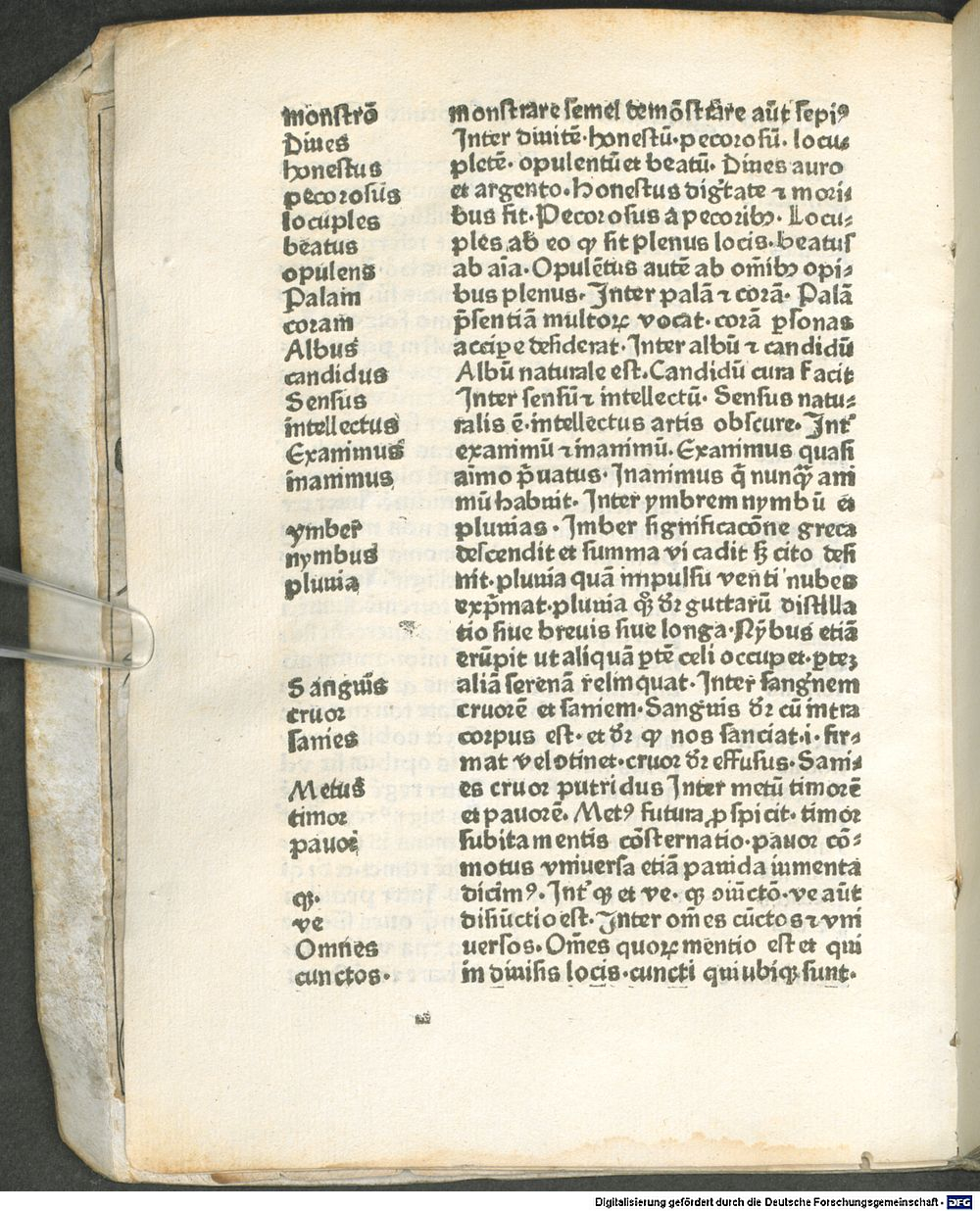 Image