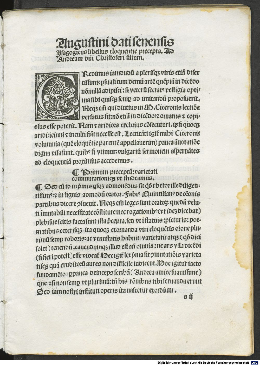 Image