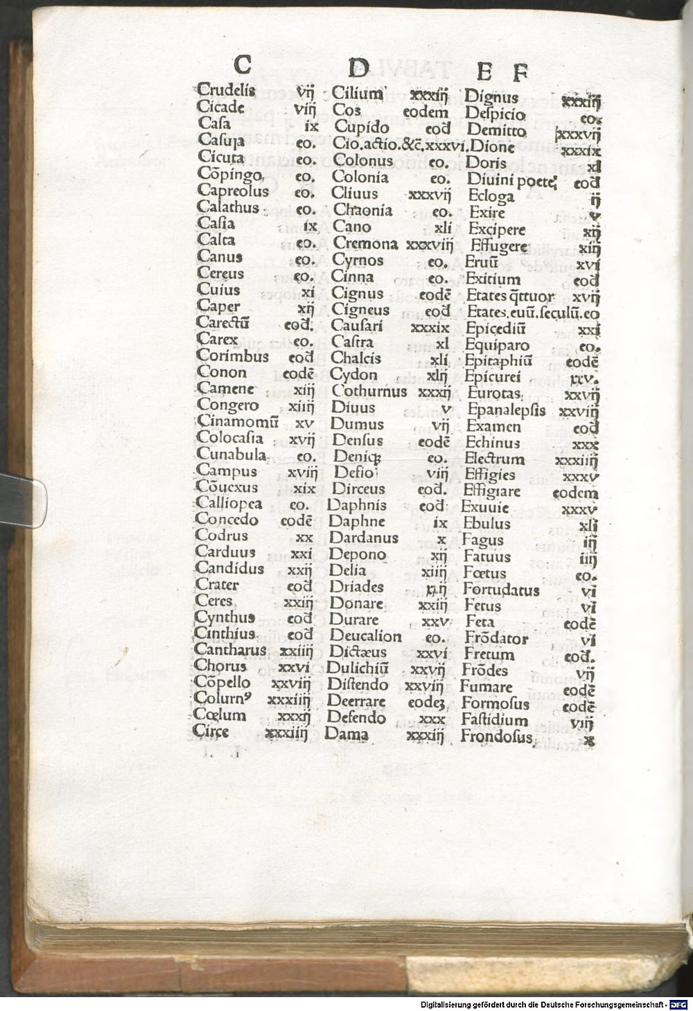 Image