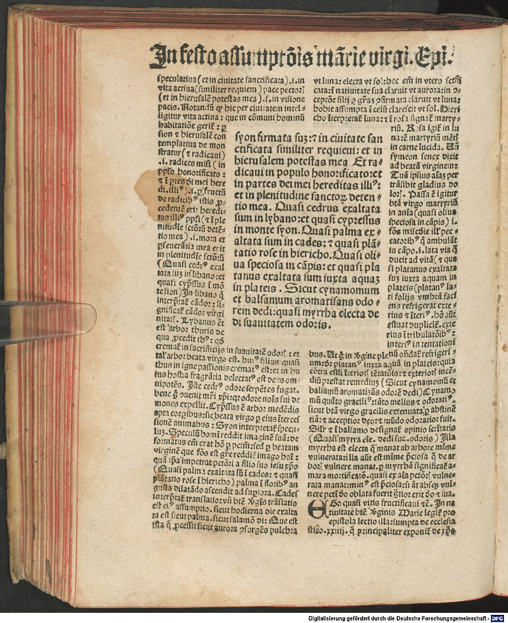 Image