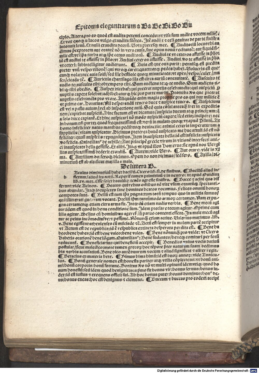 Image