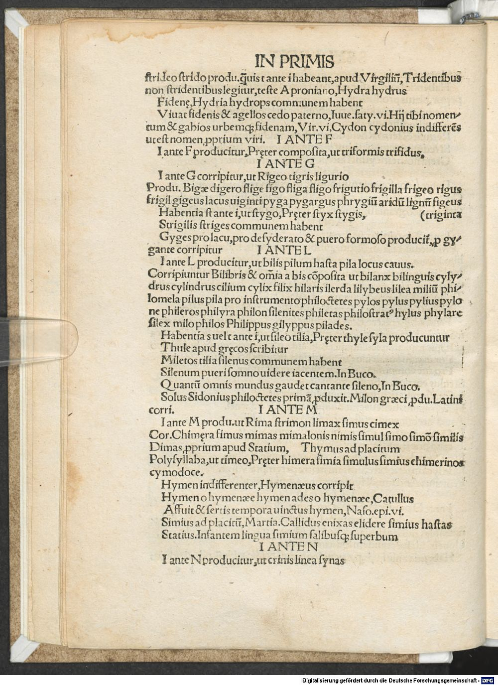 Image