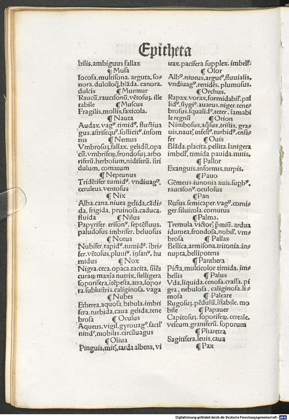 Image